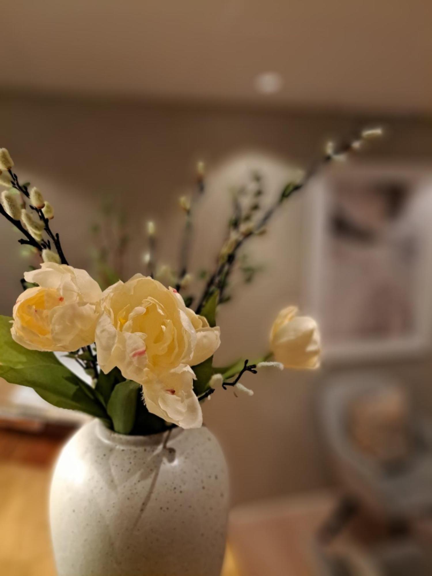 Hotell Radhuset Lidköping エクステリア 写真